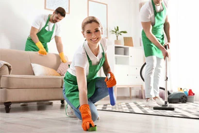 Carpet Cleaning Services